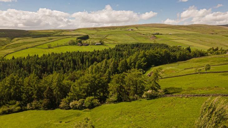 Heatherbrae - Photo 101