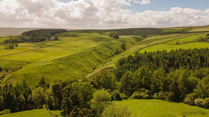 Heatherbrae - Photo 102