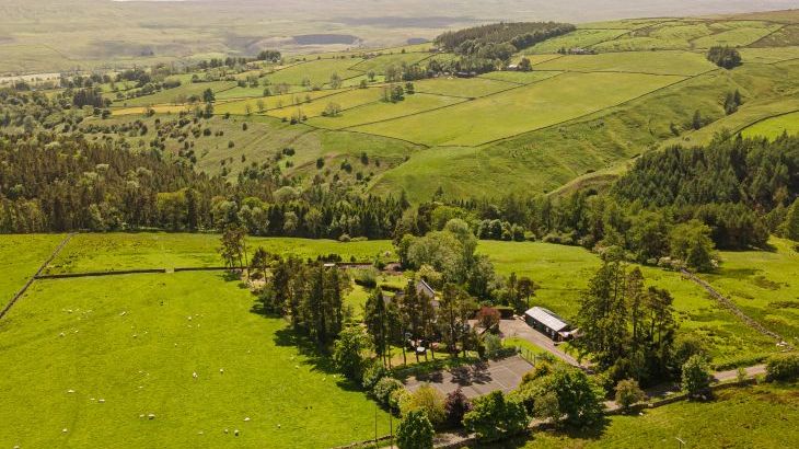 Heatherbrae - Photo 104