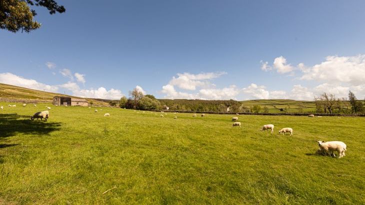 Heatherbrae - Photo 111