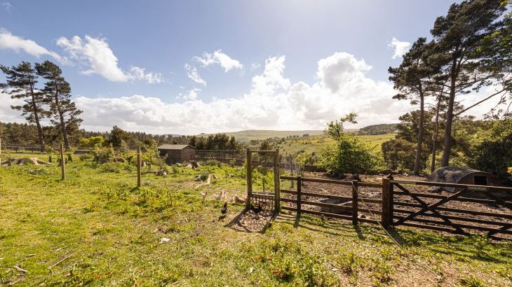 Heatherbrae - Photo 113