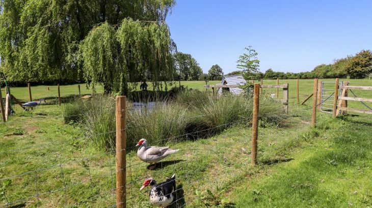 Holly Cottage - Photo 45