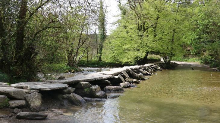 The Retreat - Photo 19