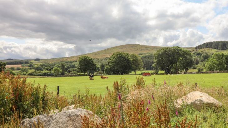 Plas Iolyn - Photo 60