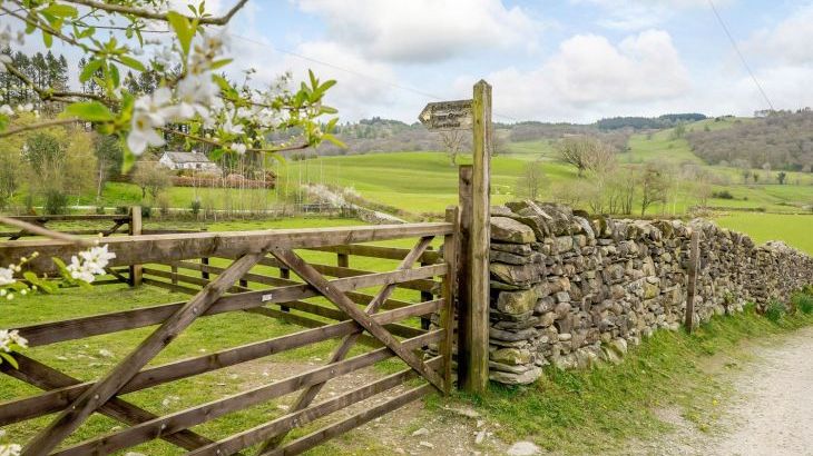 Shepherds Cottage - Photo 28