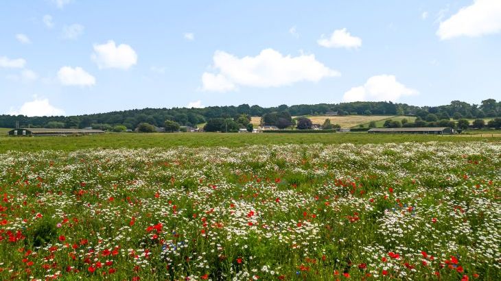 The Anchorage @ Nables Farm - Photo 55