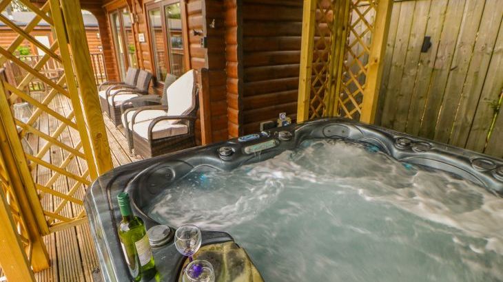 Cornfield - Photo 26