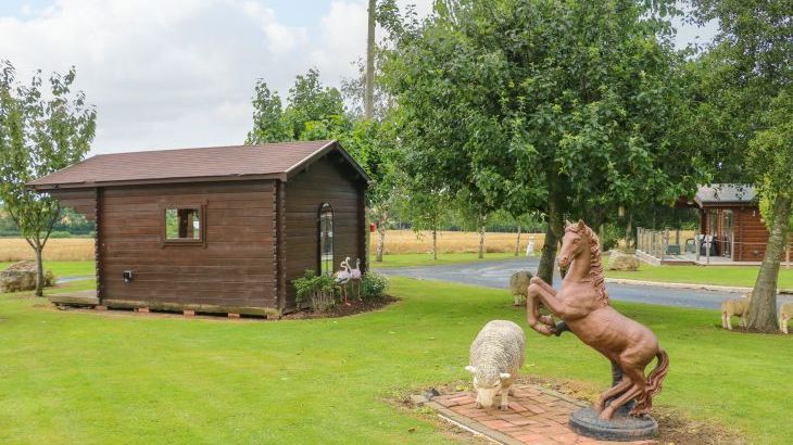 Cornfield - Photo 30