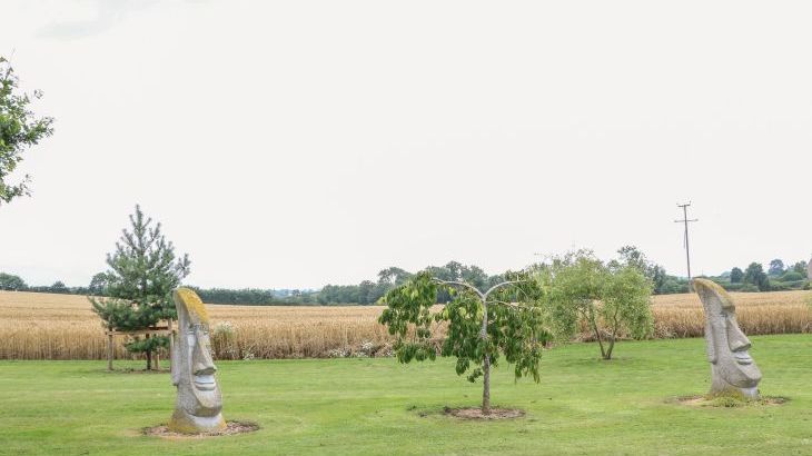 Cornfield - Photo 42