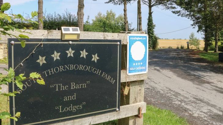 Cornfield - Photo 43