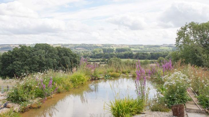 Beautiful Cotswold View - Photo 24