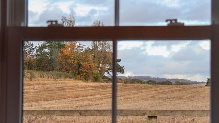 Robins Nest - Photo 16