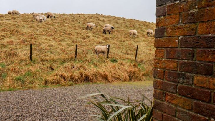 The Old Guard House - Photo 52