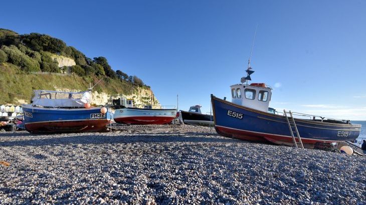 The Stables @ Merrydown - Photo 33