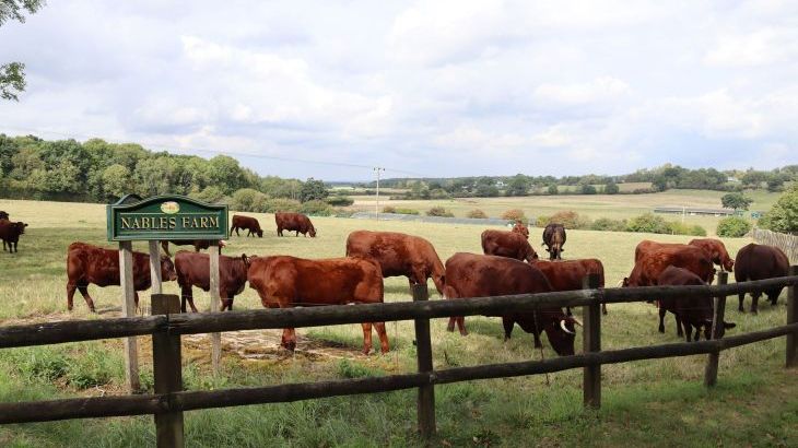 Leafield House @ Nables Farm - Photo 59