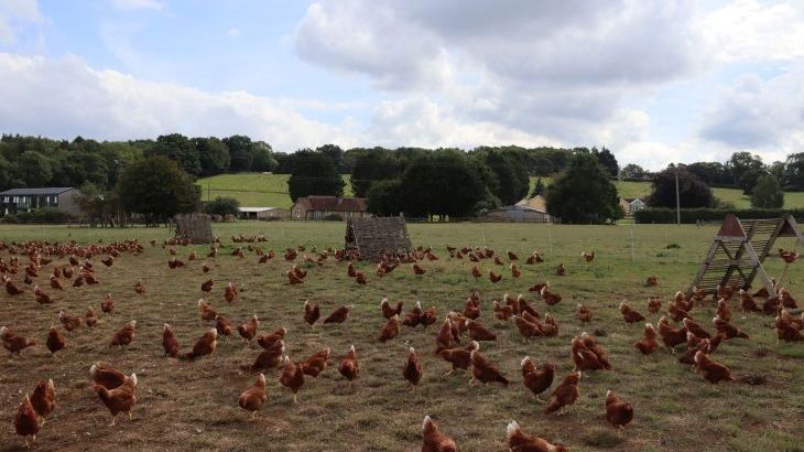 Leafield House @ Nables Farm - Photo 60