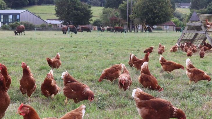 Leafield House @ Nables Farm - Photo 63