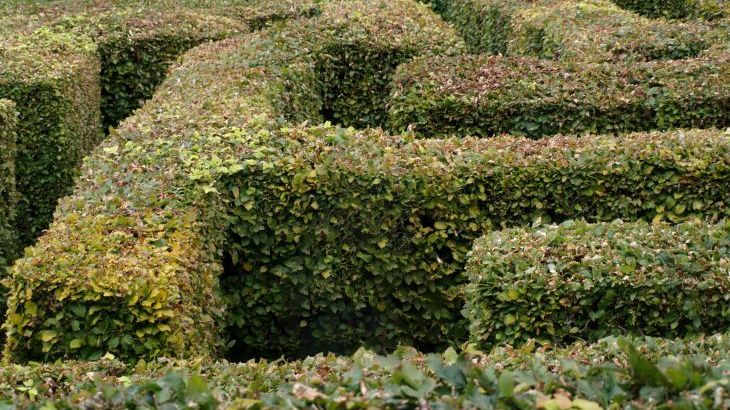 Watermouth Castle, Harbour Apartment - Photo 17