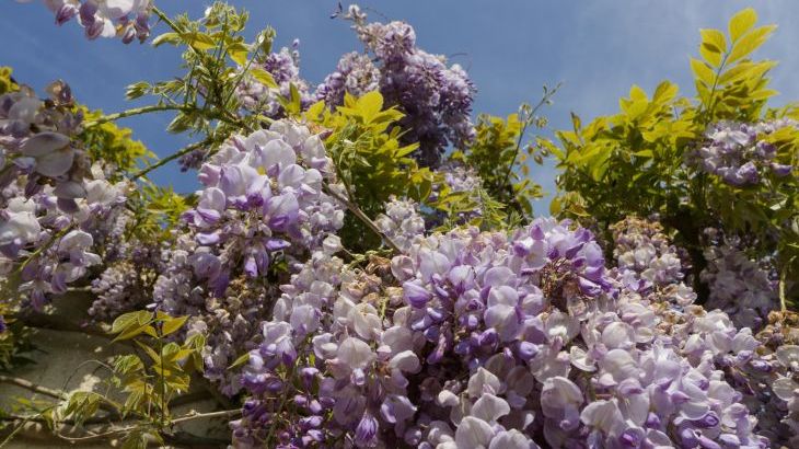 Bilsham Meadows - Photo 46