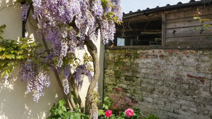 Bilsham Meadows - Photo 47