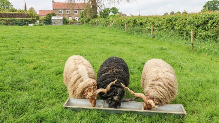 Otters Holt - Photo 27