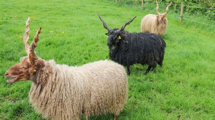 Otters Holt - Photo 33