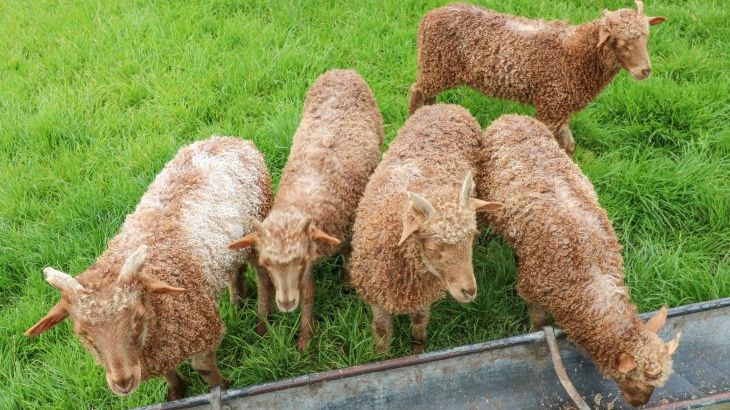 Otters Holt - Photo 36