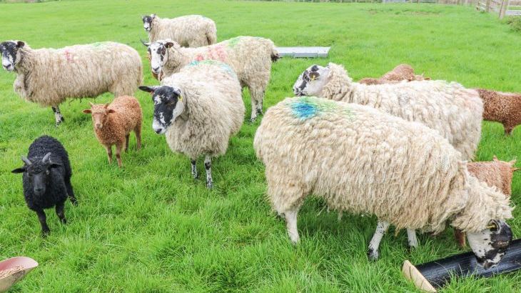 Otters Holt - Photo 37