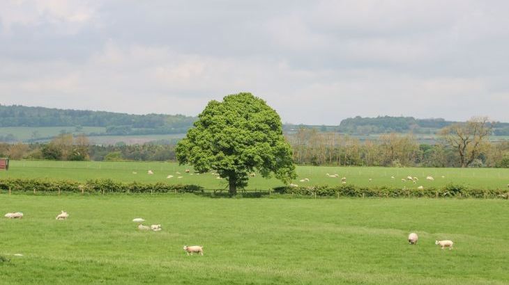 Otters Holt - Photo 38