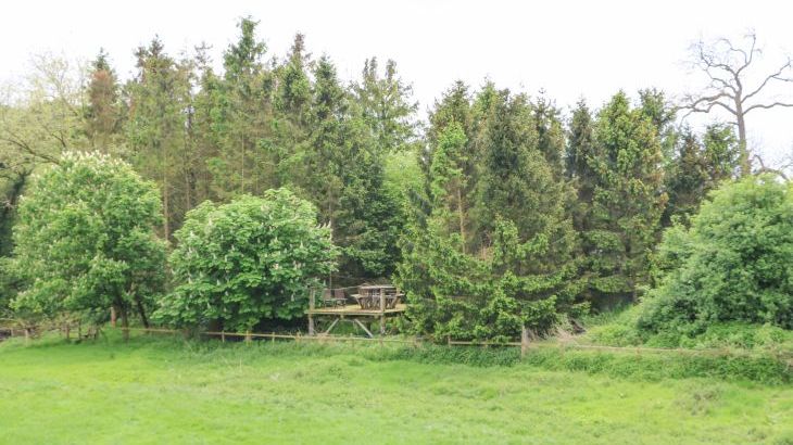 Otters Holt - Photo 39