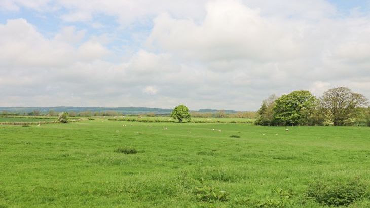 Otters Holt - Photo 41