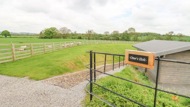 Otters Holt - Photo 54