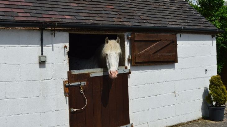 Bottomhouse Barn - Photo 25