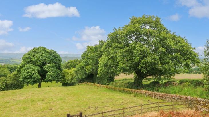 Small Lane Cottage - Photo 44