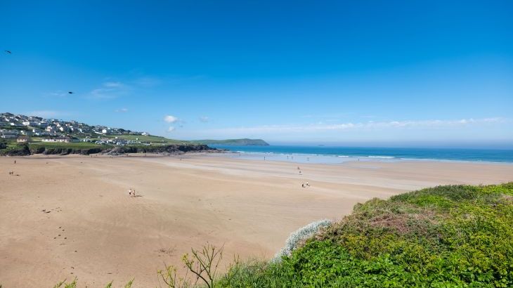 Treverden - Photo 37