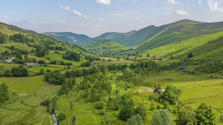 Limefitt Lodge - Photo 19