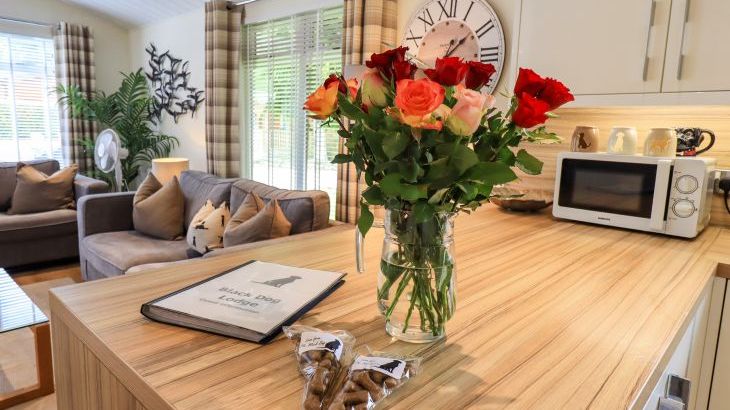 Black Dog Lodge - Photo 10