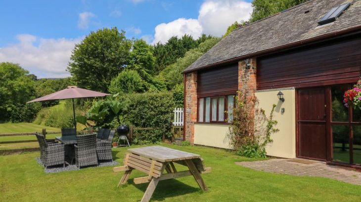 Apple Barn - Photo 43