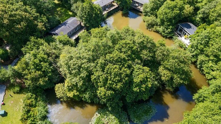 6 Lake View - Photo 23