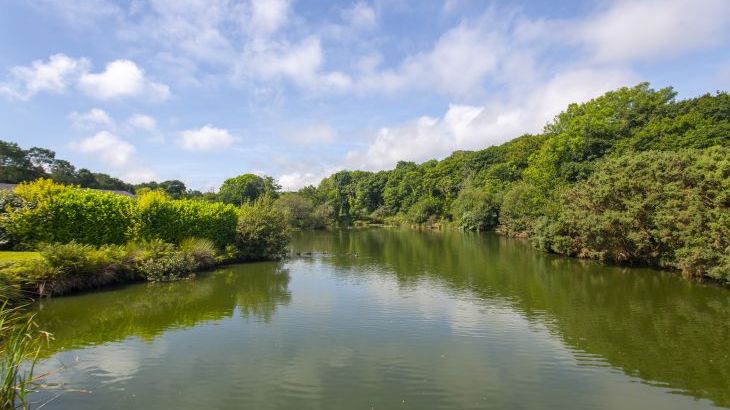 Maple Lodge - Photo 18