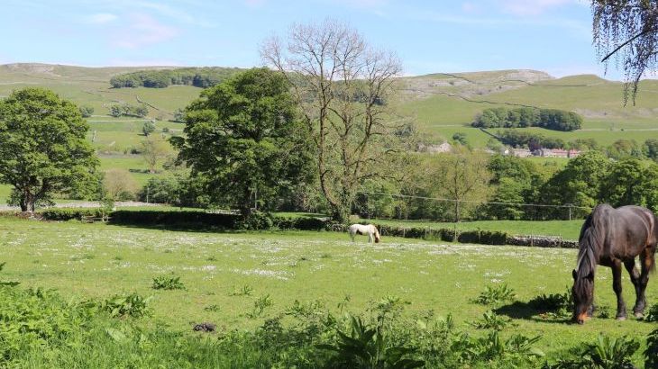 Moorlands Manor - Photo 42