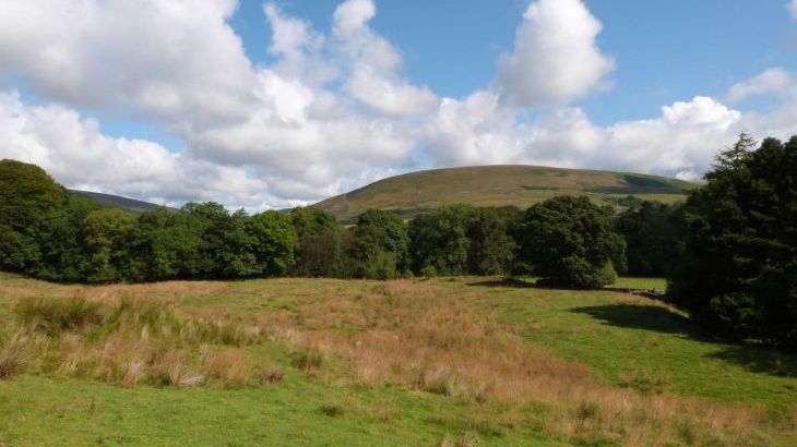 Moorlands Manor - Photo 45