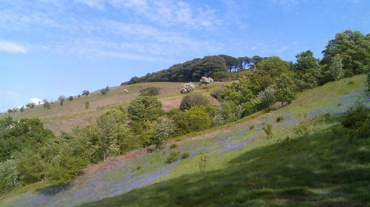 Moorlands Manor - Photo 46