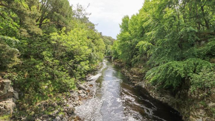 East Crossthwaite Cottage - Photo 49