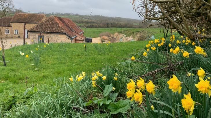 Swallows Nest - Photo 30