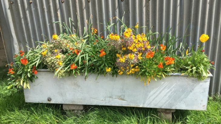 Swallows Nest - Photo 31