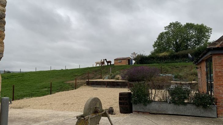 Swallows Nest - Photo 32