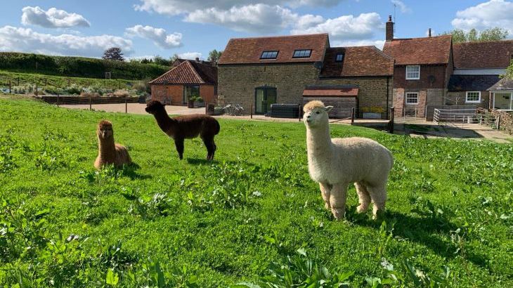 Swallows Nest - Photo 33