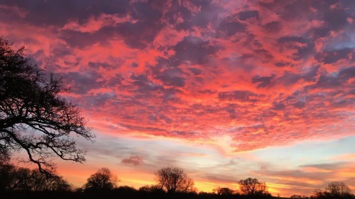 Swallows Nest - Photo 36