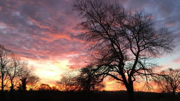 Swallows Nest - Photo 37